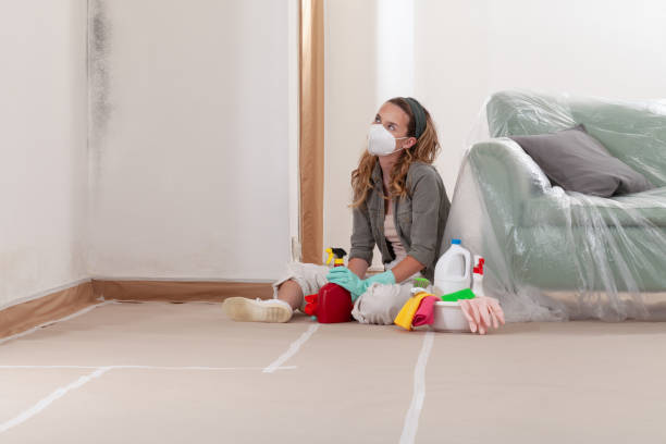Reliable Mold Remediation contractor in Westmont, NJ by WQB Mold Removal